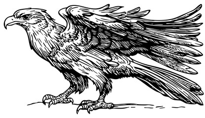 Intricate Phoenix Sketch A Classic Monochrome Representation, Sketch, No Background (1)