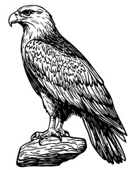 Timeless Cartoon Eagle Silhouette Capturing Nature in Black and White, Sketch, Transparent Background 