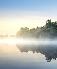 The sky is blue and the trees are green
