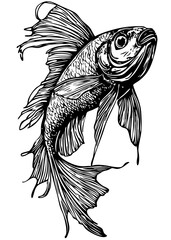 Stylized Tropical Fish Outline Versatile Vector Art, Transparent Background, Sketch