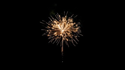 Fototapeta premium A firework is lit up in the dark sky