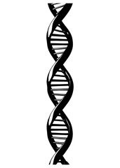 Rotating DNA, Genetic engineering scientific concept. rendered loopable animation of rotating DNA glowing molecule on blue background. Genetics concept. Animation rotation of model DNA