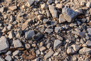 rugged path covered in stones and dried leaves, bathed in the warm glow of sunlight. This image beautifully captures the textured surface and natural debris of a serene outdoor hiking trail