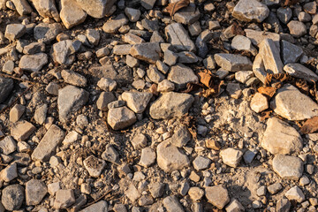 A stony path littered with dried leaves under warm sunlight, capturing the rustic charm of an outdoor trail