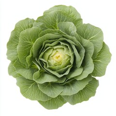 Obraz premium A fresh, vibrant green cabbage with tightly curled leaves, showcasing its natural beauty and healthy appearance.