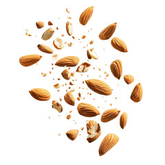 Almonds and tree nuts isolated on transparent background Remove png, Clipping Path, pen tool