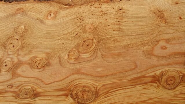 Wood grain and knotholes in red cedar- thorne bay, alaska, united states of america
