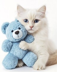 A Serene Kitten Cuddling Teddy Bear on White