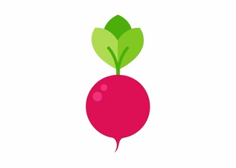 fruit vector illustration 