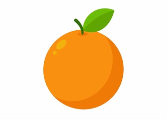 orange fruit isolated on white background vector illustration