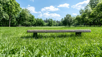 Obraz premium Park bench in grassy field, sunny day, trees background, relaxation