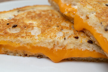 Homemade grilled cheese sandwich close up.