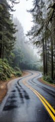 A Road through the Forest v1 12