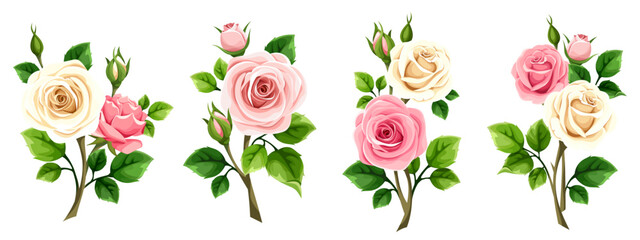 Roses branches. Pink and white rose flowers isolated on a white background. Set of vector design elements
