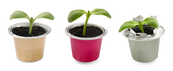 Coffee capsules with green sprouts isolated on white, set