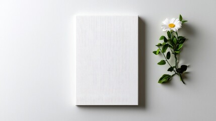 Minimalist Composition with Blank Canvas and Fresh Flower Accent