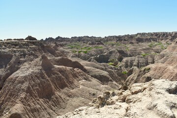 Green in the Badlands Desert