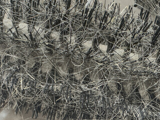 Texture of tangled hair on a brush.