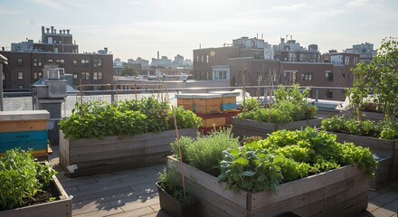 Obraz premium Urban Rooftop Garden with Beehives and Lush Vegetables