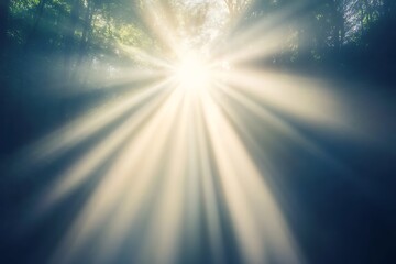 Sunlight Piercing Through a Misty Forest