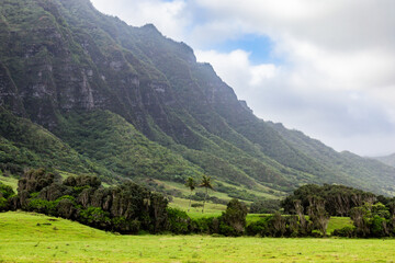 Fototapeta premium hawaii landscape