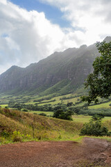 Fototapeta premium hawaii mountains