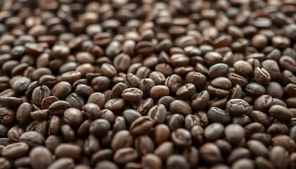 Fototapeta premium Roasted Coffee Beans Close Up Image