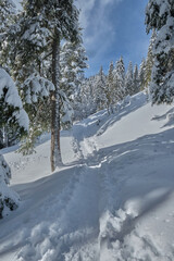 Hiking after a snowy day