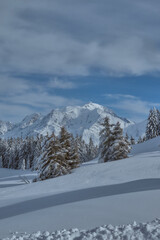 Fototapeta premium Hiking after a snowy day