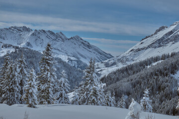 Hiking after a snowy day