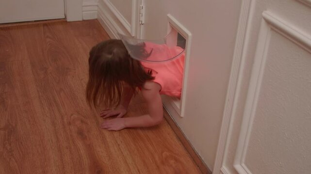 Kid Crawling Through the Doggie Door
