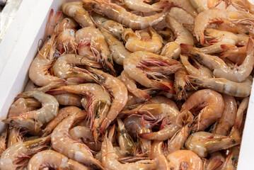 Fresh shrimp at a street fish market.