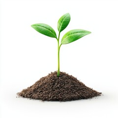 Little sprouts growing in rich soil, symbolizing new beginnings, centered on a clean white background
