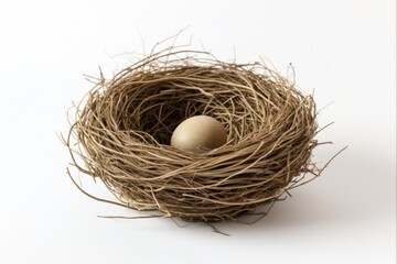 Realistic Empty Bird Nest Isolated Object for Easter Eggs and Natural Decorating