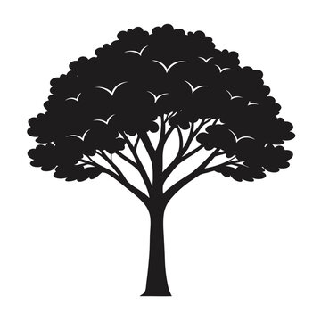 Silhouette of A Jacaranda Tree vector illustration