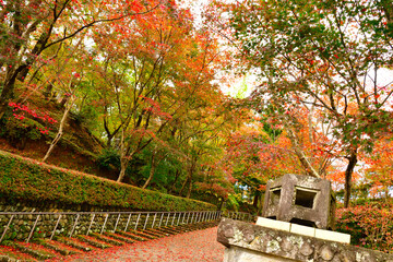 Fototapeta premium 松雲山荘の紅葉（新潟県）