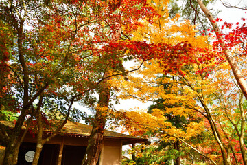 松雲山荘の紅葉（新潟県）