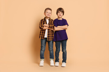 Full length portrait of cute brothers on beige background