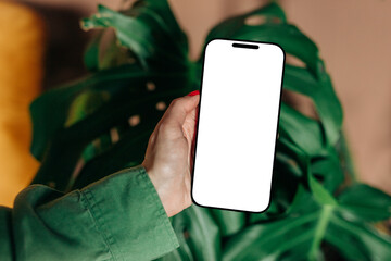 woman hand in a green shirt holds a mobile phone in front of a palm tree in the living room