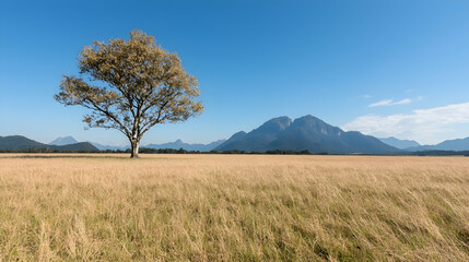 Obraz premium Lone tree in golden field, mountain backdrop, sunny day, nature scene, landscape photography