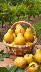 fresh pears in a basket on a wooden table on orchard garden background, simple style, with white tones