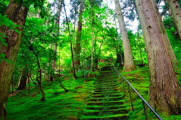 湯田上温泉　華蔵院（新潟県）