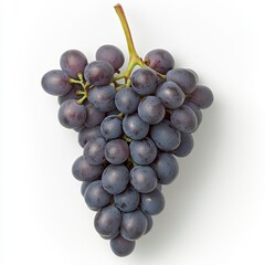 Fototapeta premium A bunch of dark-purple grapes with a light-green stem against a bright white background. The image is a close-up, high-resolution shot of the fruit, highlighting its texture and color. 