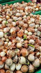 Onions for sale in a supermarket. Onions close-up with selective focus. Vegetables. A pile of onions in the vegetable section of the store
