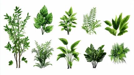 Lush Green Leaves and Plants Growth in Nature Exuding Freshness