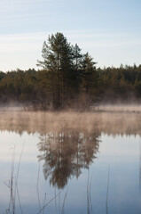 A small island in a foggy lake in spring morning in forests of Finland