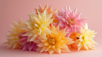 Obraz premium Vibrant dahlia bouquet against soft pink background showcasing multicolored petals