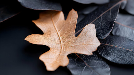 Golden leaf among dark leaves, autumn, close-up