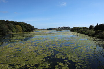 Marisma y molino de mareas, Santa Olaja. Cantabria.