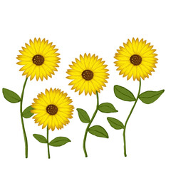 Hand drawn style of sunflower, perfect to use as an additional element to your design.